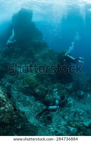 Scuba divers explore a rocky reef off the coast of Sulawesi, Indonesia. This area is part of the Coral Triangle and is home to more marine organisms than anywhere else on Earth.