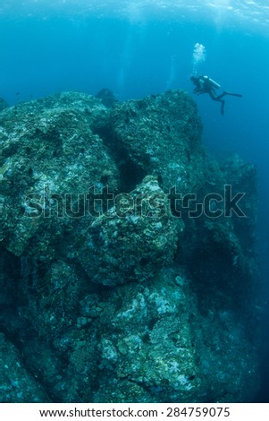 A scuba diver explores a rocky reef off the coast of Sulawesi, Indonesia. This area is part of the Coral Triangle, an area that houses more marine organisms than anywhere else on Earth.