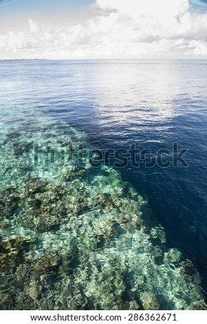 A shallow coral reef in Wakatobi National Park, Indonesia, leads to an impressive vertical drop off. This area, found just south of Sulawesi, harbors some of the Coral Triangle\'s most healthy reefs.