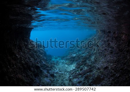 A dark, submerged cave looks out on sunlit blue water in the tropical Pacific Ocean. Many species that do not like sunlight live in the dark recesses of caves and caverns.