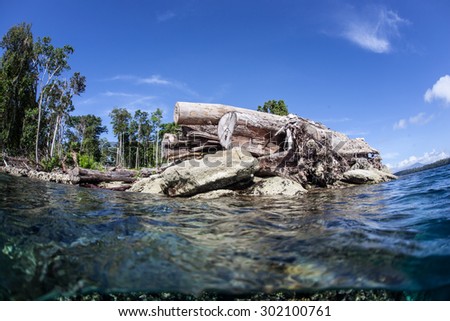 Logs lie on the edge of an island in the Solomon Islands. Logging and clear cutting is a problem for coral reefs due to the sediment that often runs off the land and covers nearby marine habitats.