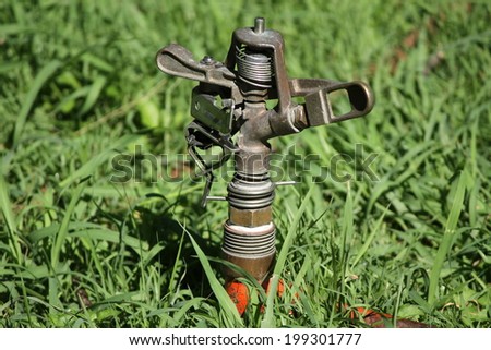 Water springer in yard