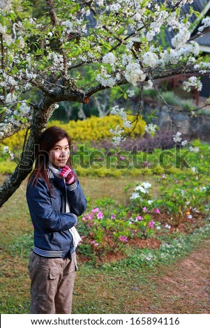 Portrait of a beautiful Asian woman with cherry blossoms.(Doi Aung Khang Mountain), Chiang Mai, Thailand