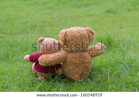 Two TEDDY BEAR brown color sitting on grass