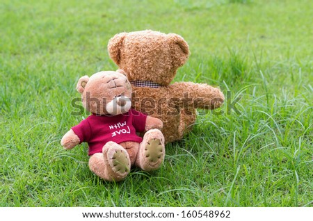 Two TEDDY BEAR brown color sitting on grass