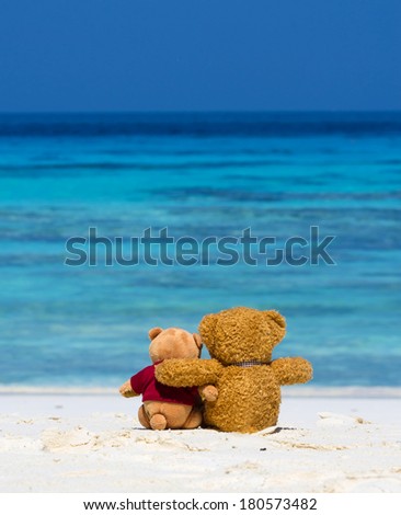 Two TEDDY BEAR brown color sitting on the beautiful beach with blue sea and sky