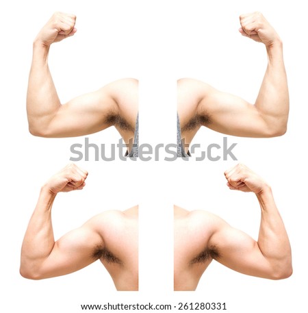 sum 4 pic of biceps on white background