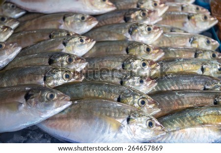 Many of fresh fish seafood in indoor market background