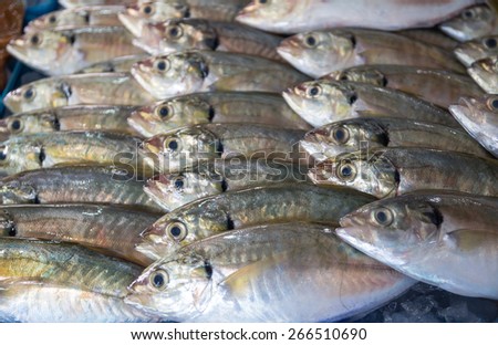 Many of fresh fish seafood in indoor market background