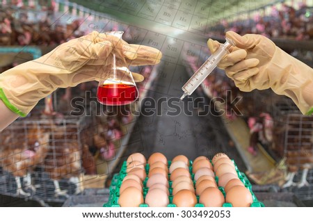 egg chicken farm with Chemical Laboratory, Hand holding medical injection syringe and test tube