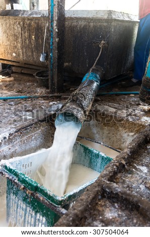 Traditional pouring rubber latex collected from rubber trees into a processing tanks at a collection center