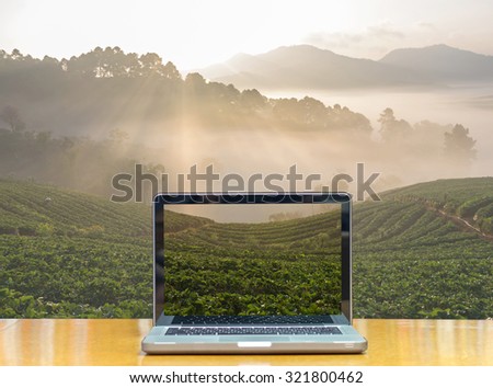 Conceptual image of a computer laptop on Strawberry farm when sunrise with fog, Doi angkhang, Chiangmai province, Thailand