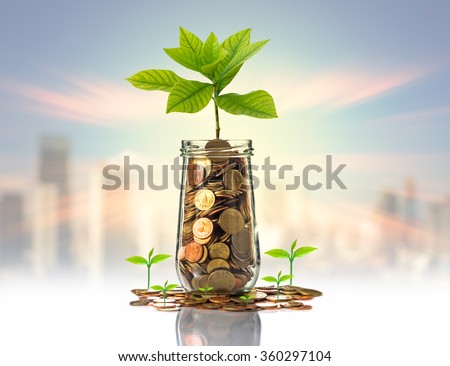 Gold coins and seed in clear bottle on photo blurred cityscape background,Business investment growth concept
