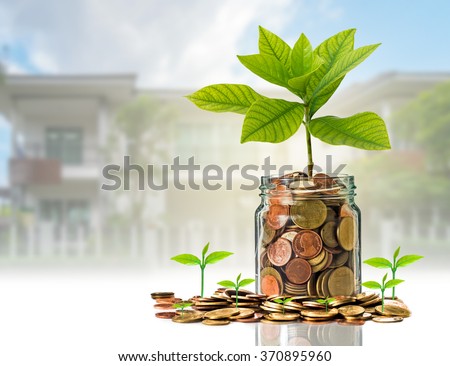 Gold coins and seed in clear bottle on photo blurred house background,Business investment growth concept