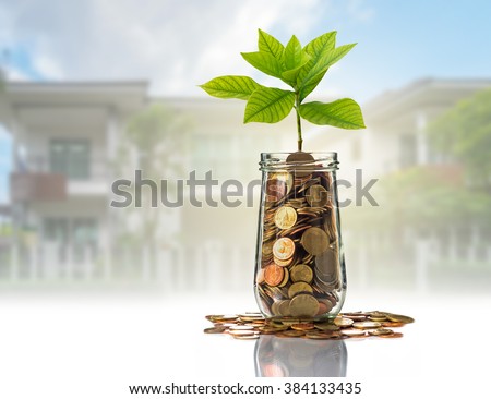 Gold coins and seed in clear bottle on photo blurred house background,Business investment growth concept
