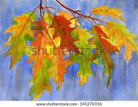 Fall Oak Leaves with Blue Background.  Watercolor painting of orange and yellow oak leaves with a blue and gray background