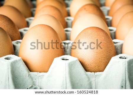 Raw fresh eggs in a paper tray
