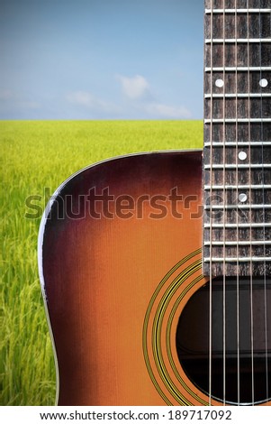 Acoustic guitar with paddy rice field background