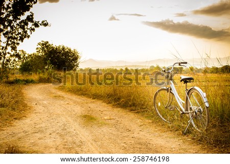 Retro bicycle in summer grass field, vintage tone