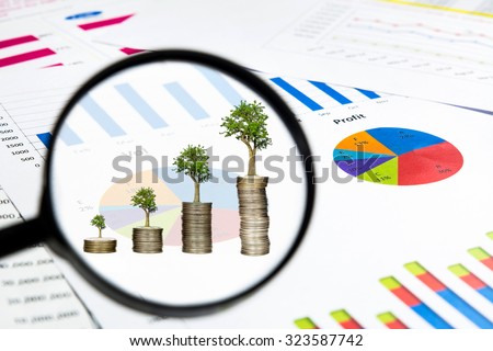 magnifying glass see trees growing on coins with financial chart documents, investment concept