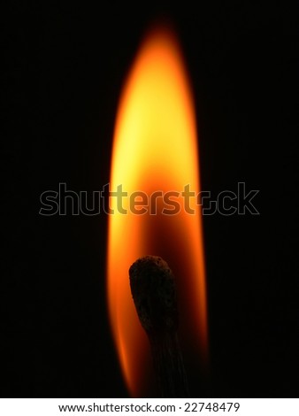 Close up picture of a match toked at the end of burning