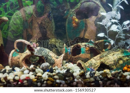 Aquarium with ancient design settlement containing broken amphora and colorful stones