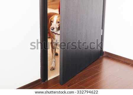 Closeup of a dog standing next to a door and looking away