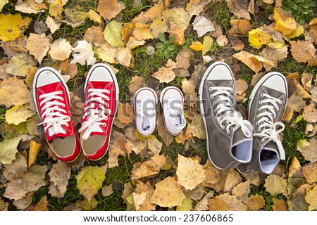 three pair of shoes in father big, mother medium and son or daughter small kid size in grass park with Autumn leaves representing family, growth, education and togetherness concept