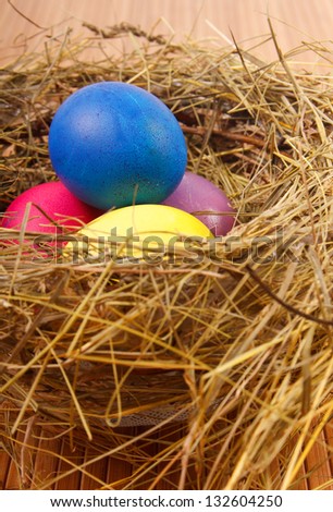 Easter Nest with Eggs on the table