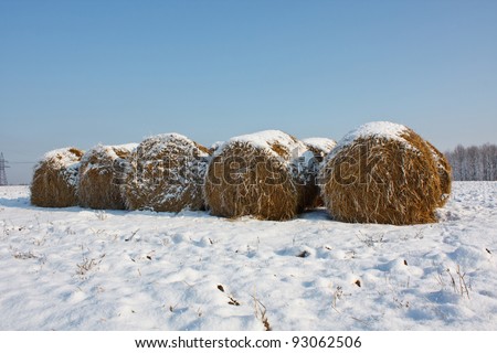 Haystack In Winter