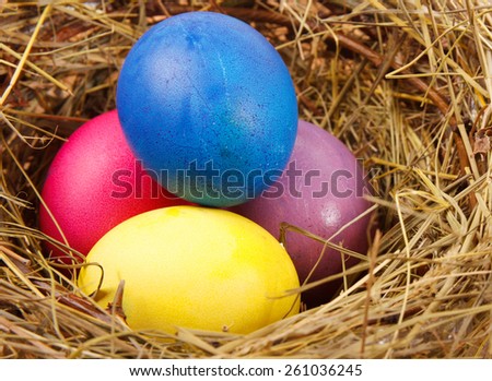 Easter Nest with Eggs on the table