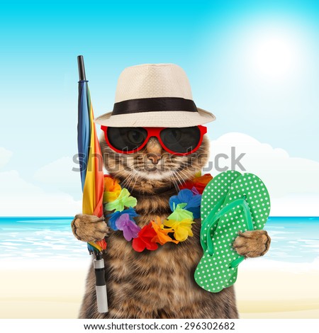 Funny cat going on vacation