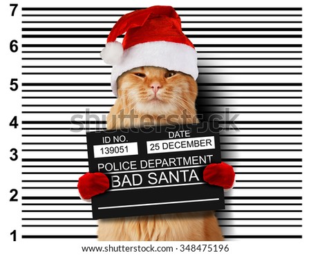 Cat holding a banner offender on white background. Violation of the law. Bad santa.
