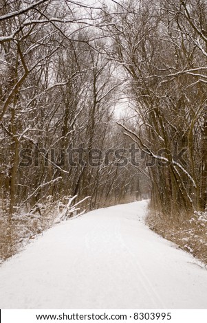 Snow covered path through the woods