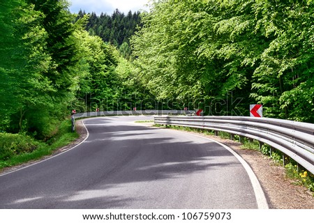 winding curve road in a green forest