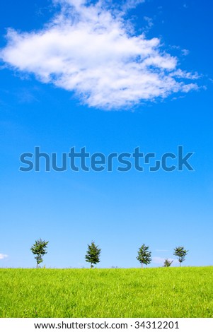 landscape with little tree