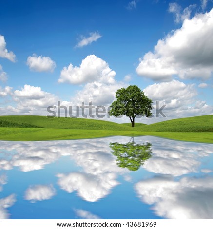 Abstract of an lone tree in full leaf in summer standing alone