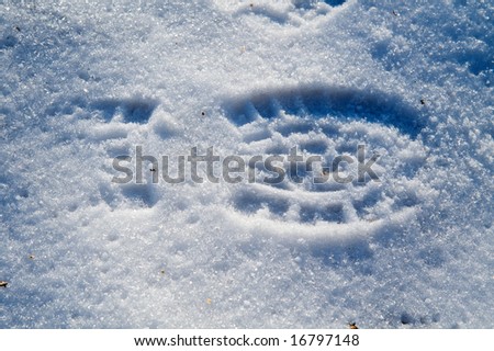 Footprint in snow (winter walk)
