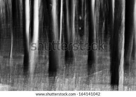 Abstract black and white painterly forest made using the Monet effect