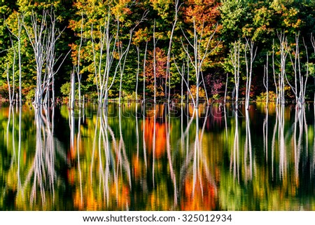 Fall reflections and a flooded forest at Monksville Reservoir, Hewitt, New Jersey, USA