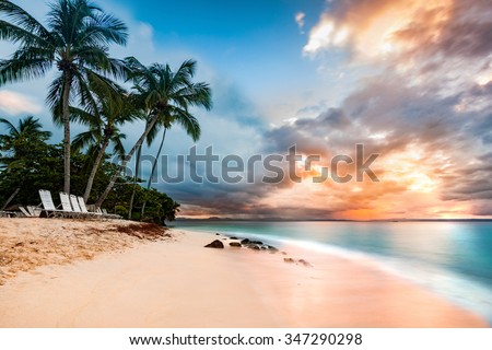 Exotic long exposure seascape with palm trees at sunset, on a public beach in Cayo Levantado, Dominican Republic