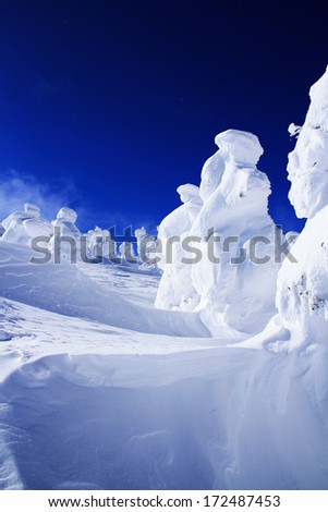Snow monsters at Zao Mountain , Japan.