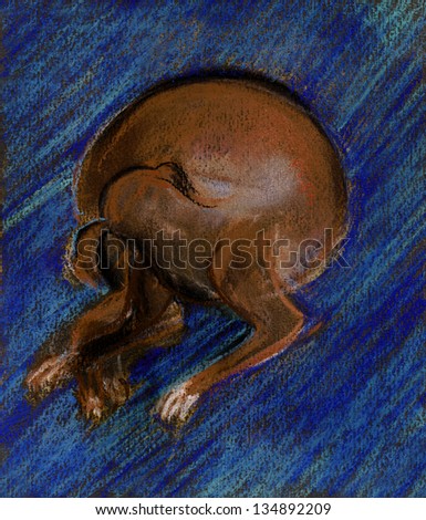 The dog catches on itself fleas, laying on a dark blue carpet