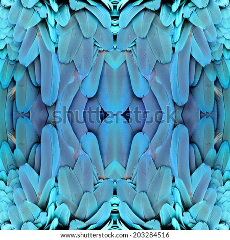 Beautiful pattern background texture made from Blue and Gold Macaw feathers.