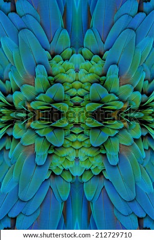 Seamless of bird feather,beautiful pattern background texture made from Harlequin Macaw feathers