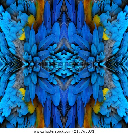 Bird feathers, beautiful pattern background texture made from Blue and Gold Macaw feathers.