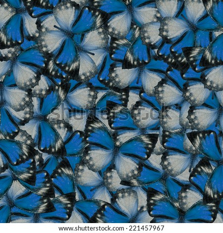 Butterfly pattern,beautiful background texture made from light blue butterfly