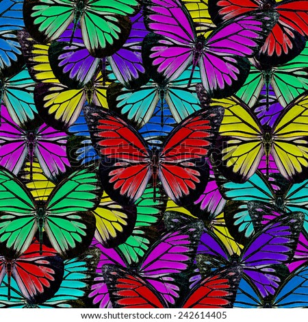 Butterfly pattern,Beautiful abstract background texture made from colorful butterfly