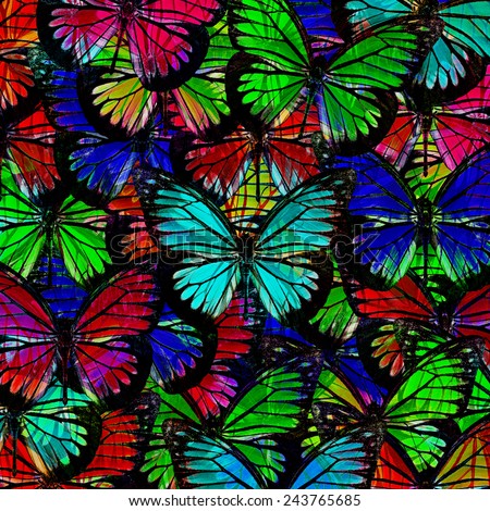 Butterfly pattern,Beautiful abstract background texture made from colorful butterfly