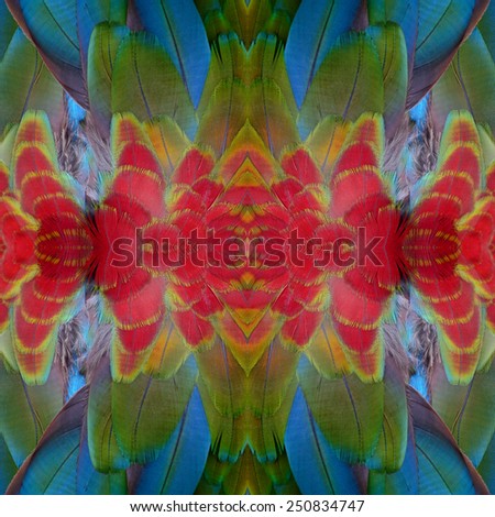 Bird feather, beautiful blue pattern background texture made from Greenwinged Macaw feathers